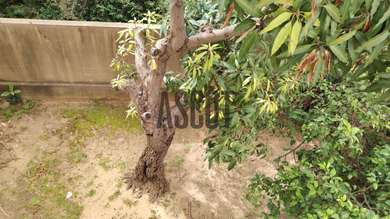 Prime location Villa in Rabieh