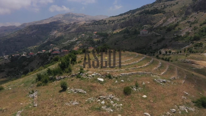 Exceptional land for sale in Hammana