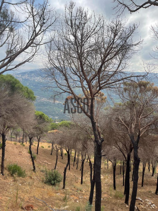 Land for sale in Beit Mery behind L'os restaurant