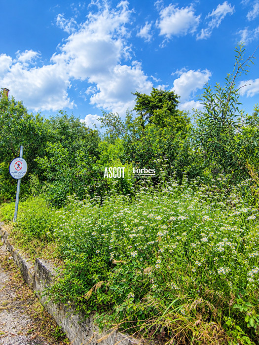 Land with sea view for sale in Ghazir