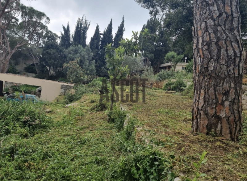 Big land with Villa for sale in Beit Mery