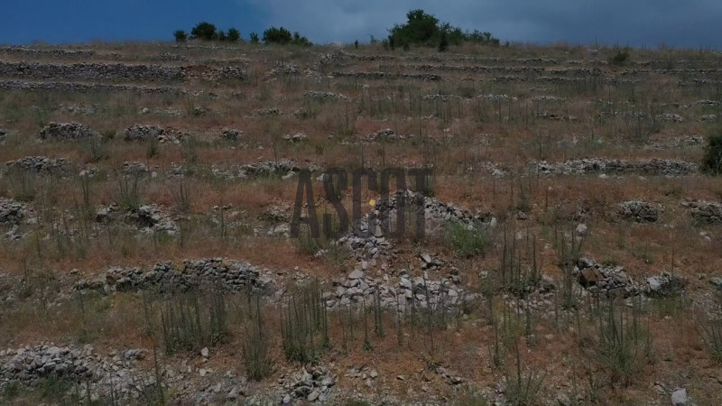 Exceptional land for sale in Hammana