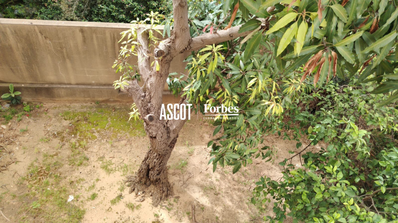 Prime location Villa in Rabieh