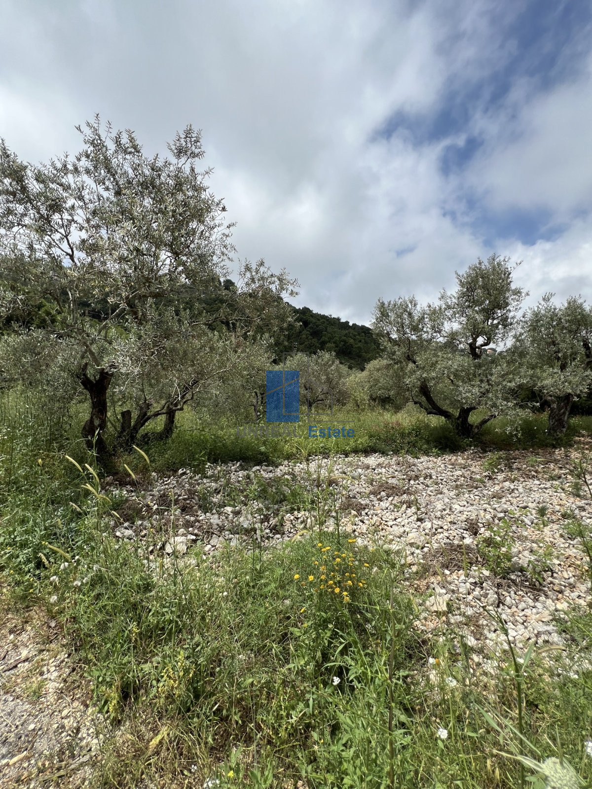 Land for sale in bejjeh