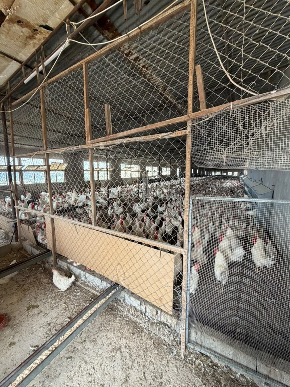 ✨ Farm for Sale in Kfoun ✨
