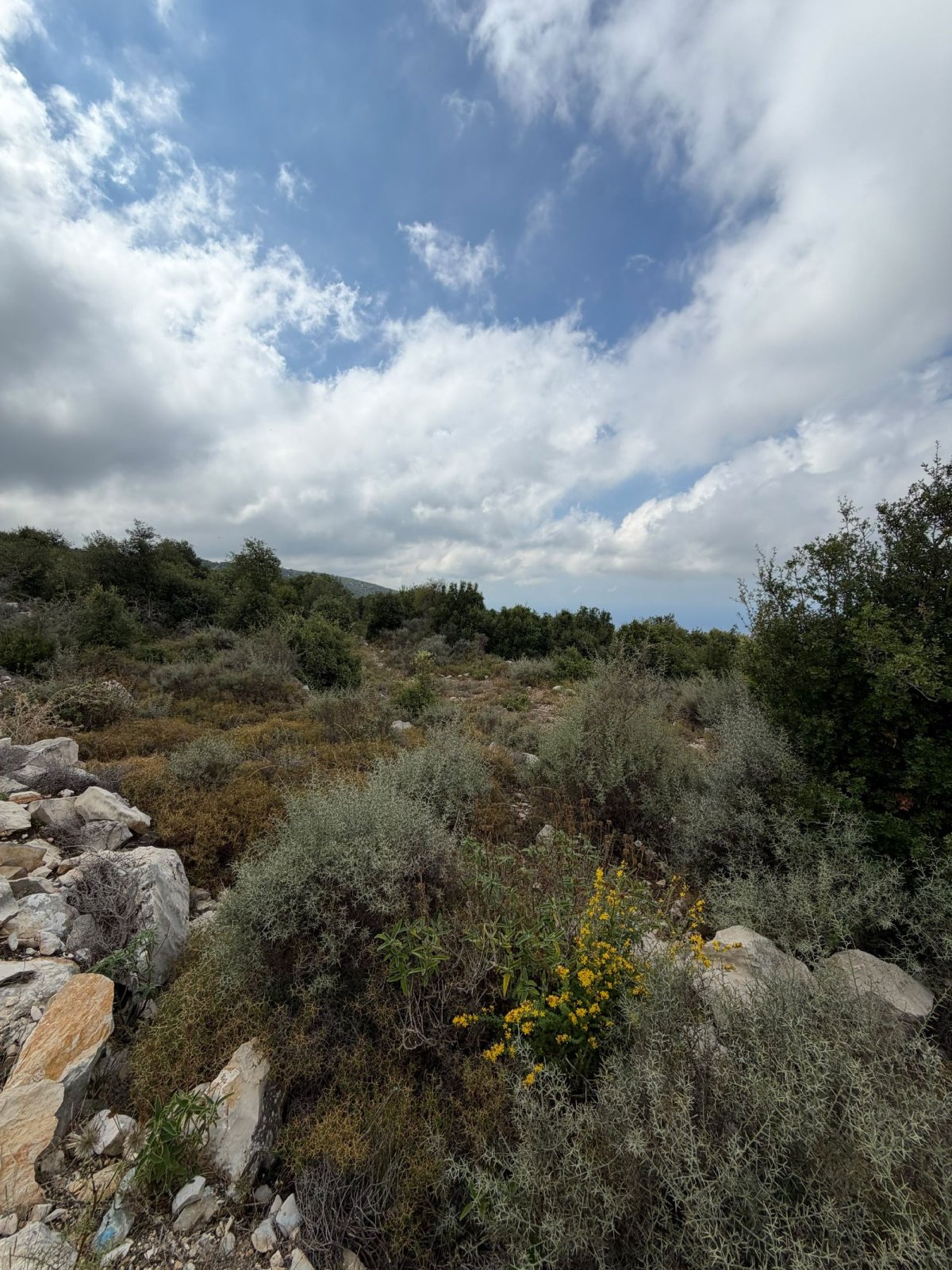 ✨ Land for Sale in Kfoun ✨
