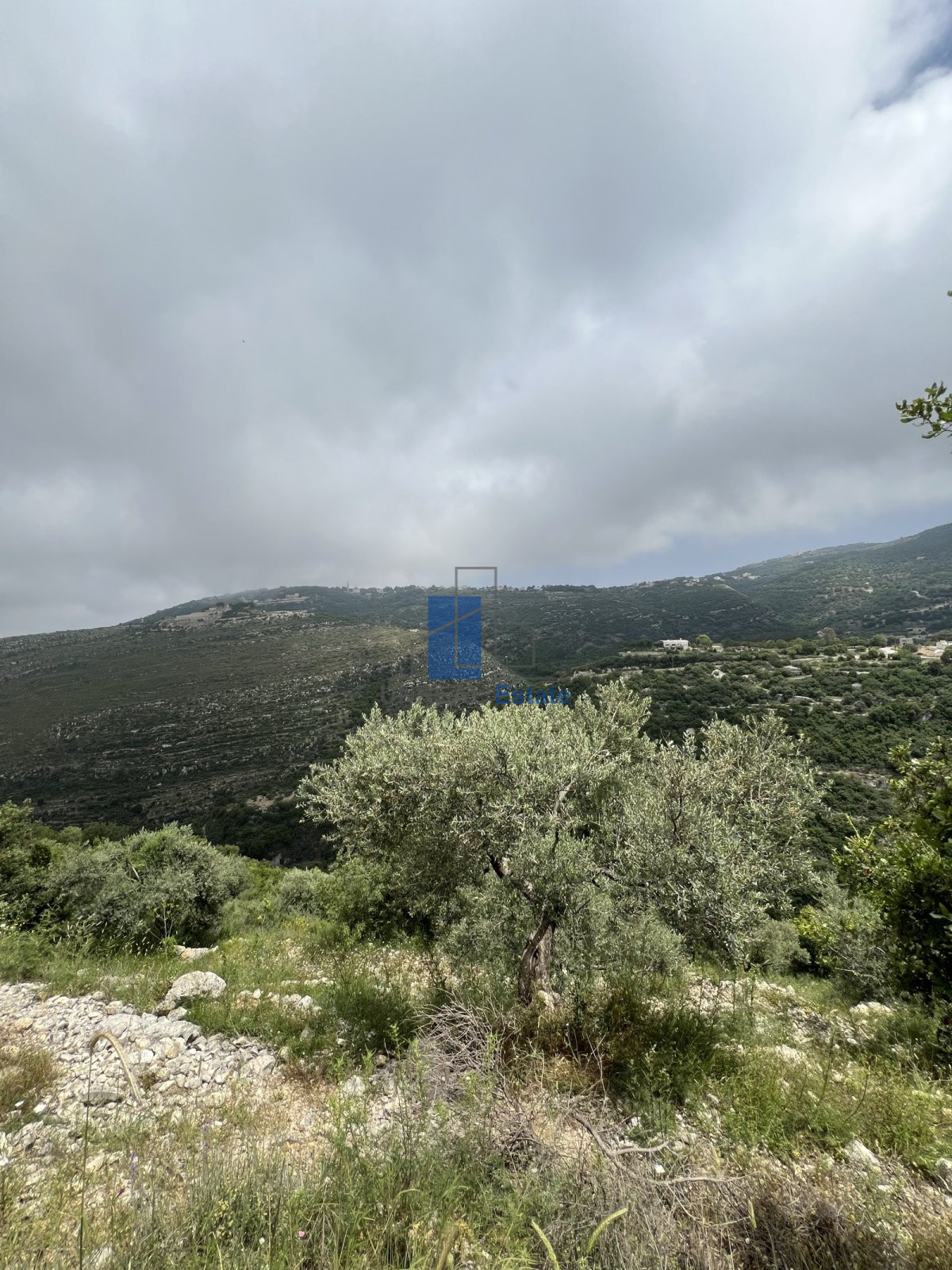 two land for sale in bejjeh