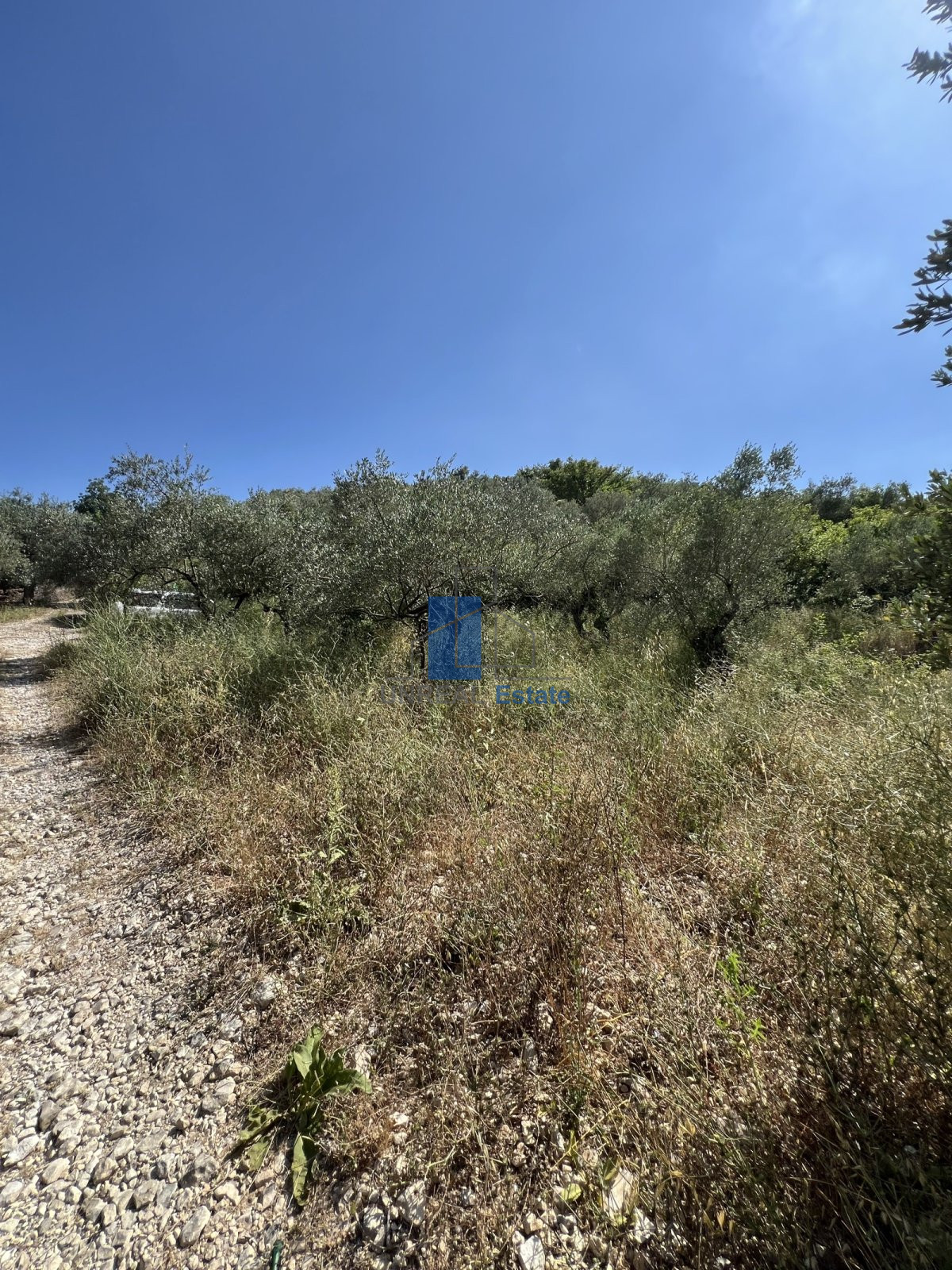 Land For Sale In Ain Kfaa