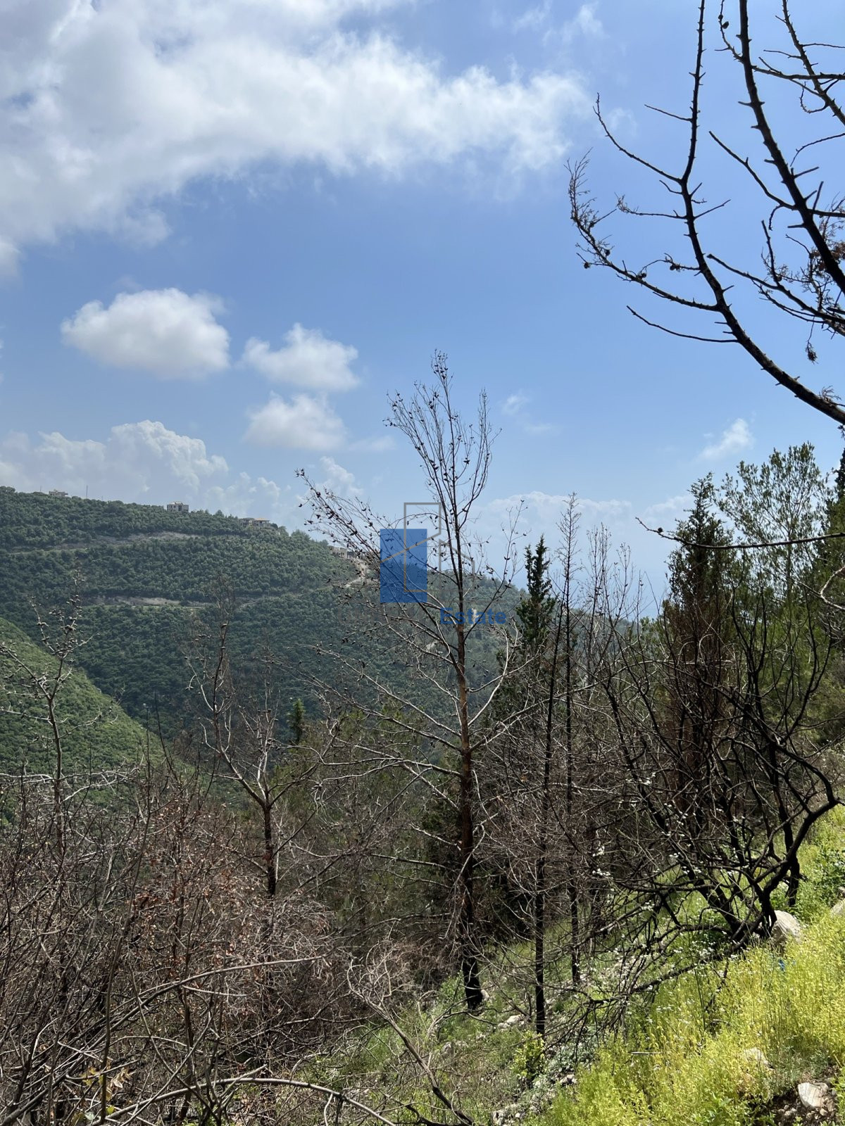 land for sale in blat