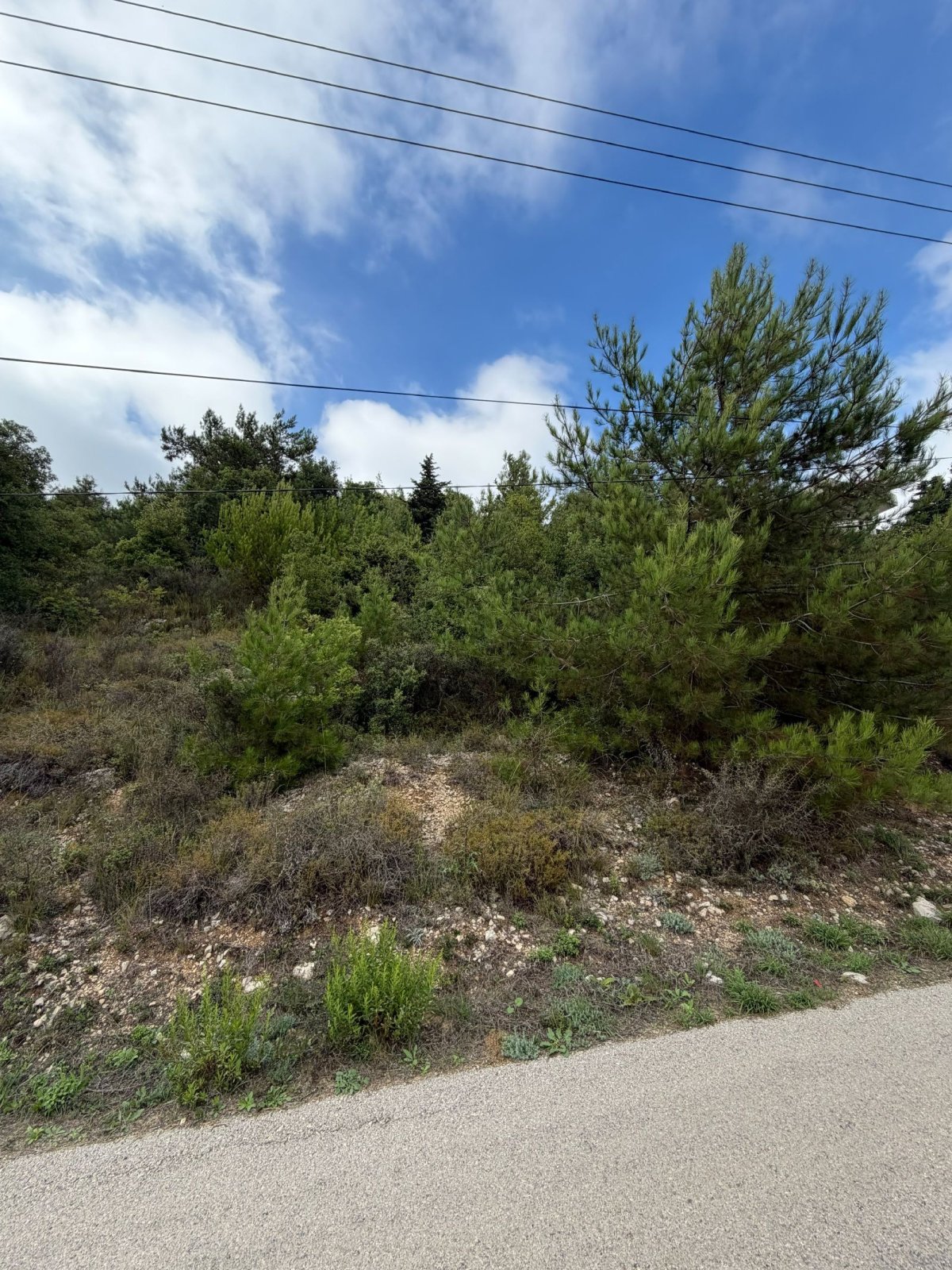 ✨ Land for Sale in Ghineh ✨