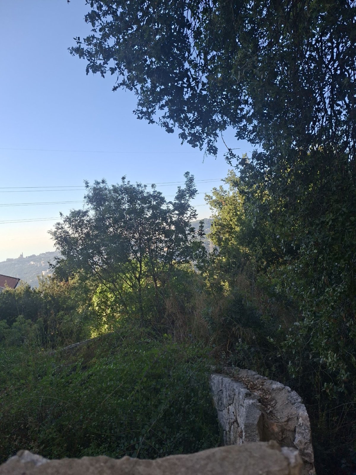 ✨ Land for Sale in Ajaltoun ✨